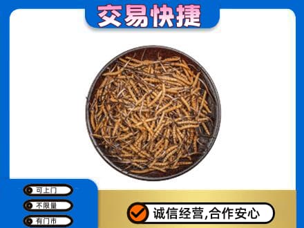 锡林郭勒回收散虫草